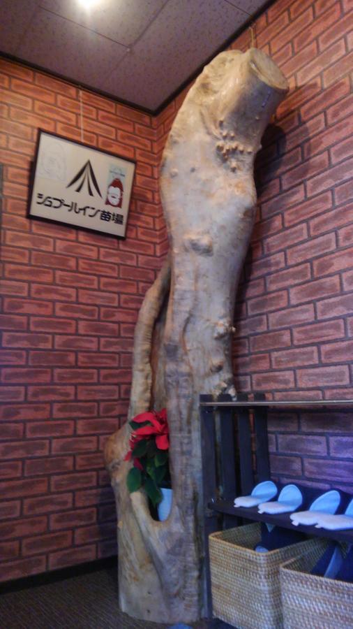 Spur In Naeba Kusatsu (Gunma) Exterior foto